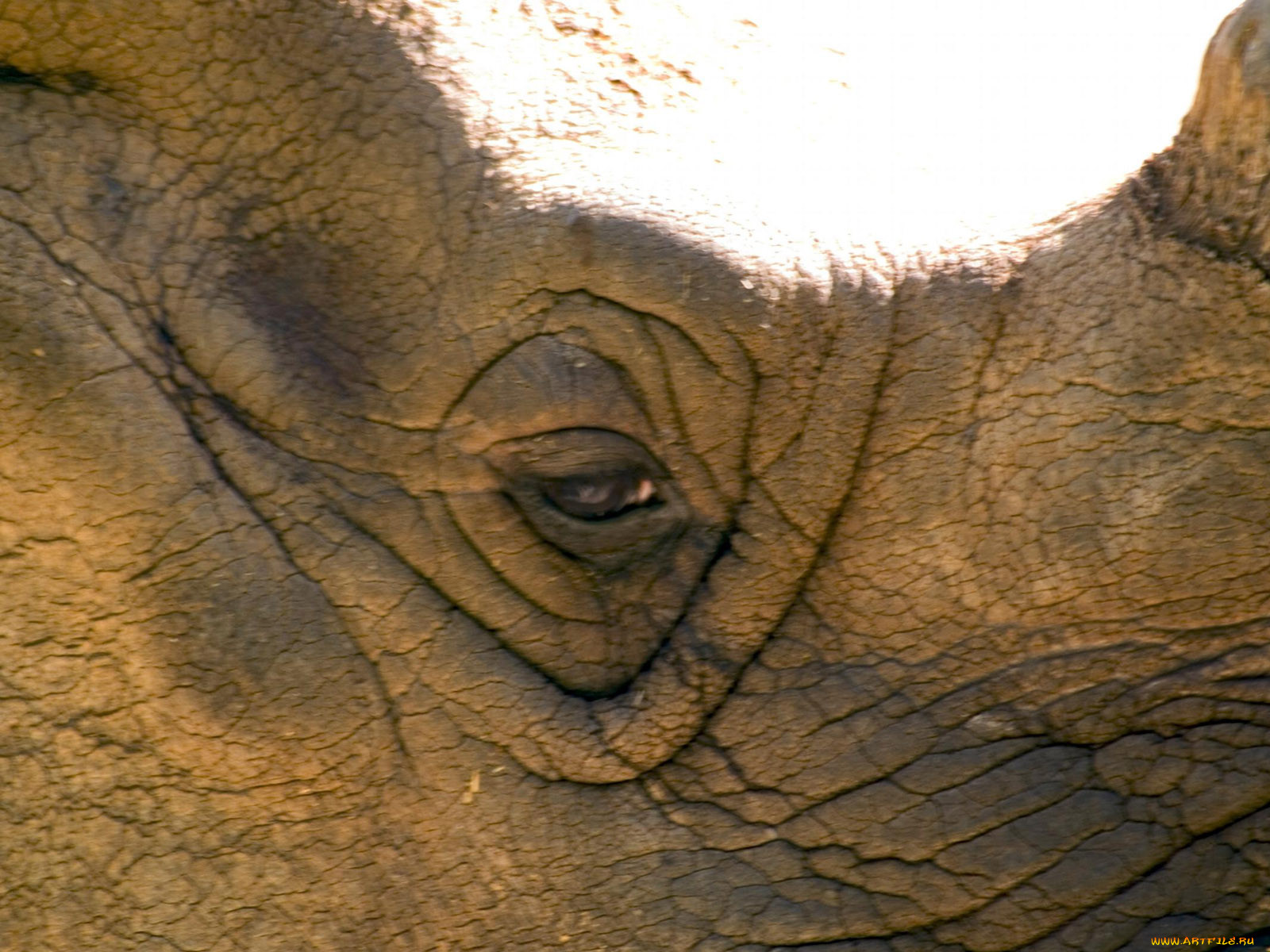 cincinnati, zoo, 30, , 